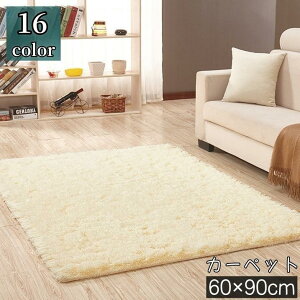 J[ybg O 60 90cm O~ イ O}bg ₦΍? g   Vv JoLx rO 