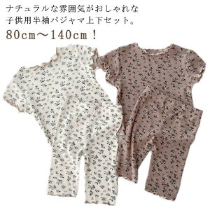 LbY [EFA ̎q ㉺Zbg LbY ZbgAbv  ԕ [ E [EFA ؍ q ̎q TVc  n[tp