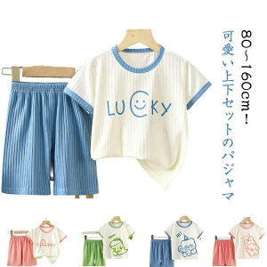 LbY pW} ZbgAbv j̎q ̎q  xr[ [EGA ㉺Zbg WjA     n[tpc Ԃ Q