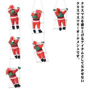 ͂T^ T^N[X NX}X T^l` t I[ig NX}X 30cm fR[V X  NX}