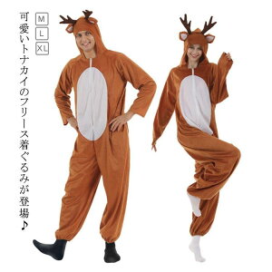  RXv RXv giJC giJC NX}X Y ߑ NX}X t[h giJC fB[X l giJC t[htRX`