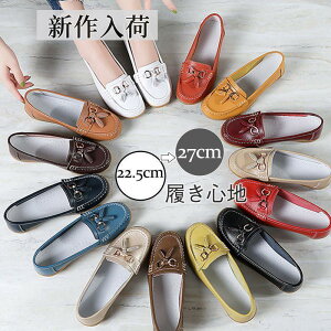 [t@[ fB[X tbgV[Y ؂ rbg^Cv ʋC\[ y ɂ 傫TCY ̓ Mtg