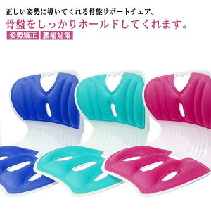 T|[g`FA ֎qpNbV T|[gNbV p ֎q NbV ֎q CX `FA zc  T|[g