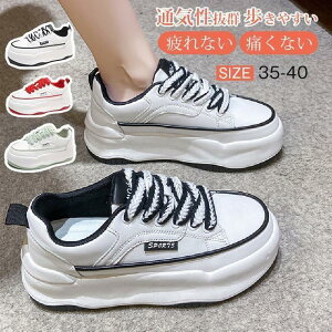  Xj[J[ fB[X X|[cV[Y C V[Y ~ r r ₷ Ȃ