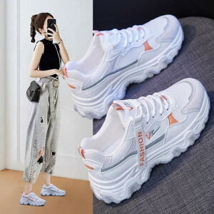 Xj[J[ fB[X   40 30  5cmgUP Ȃ V[Y {A ؍ ʋΌC JWA y r  t  H ~ V