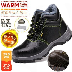 SC |Sc Bݔh~ [Nu[c Z[teB[V[Y Y N {A ~ fB[X Xj[J[ ƌC L