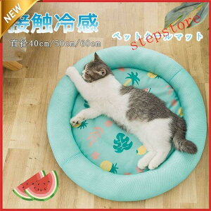 ybgxbh ėp ڐG⊴ ybgpxbh  }bg NbV   L  Ђ 􂦂 ~ ʋC N[ 