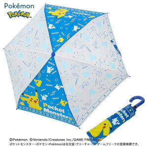 |PbgX^[ ܂肽݂ VGbg J530mmi[F300mmj ЃPCJpj[