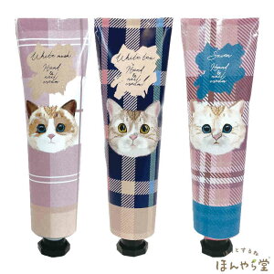 ˂nhN[izCgXNAzCgeB[AV{jie30gjق瓰(HONYARADOH) [ց^