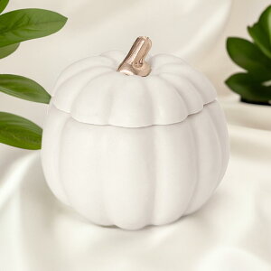 nEB ӂtpvL zCg t^t  AWx[X HW002400 001 H I[^ ڂ pvL e ꕨ َq pvL|bg