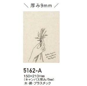 GREENHOUSE LoX{[h u[P nhChp LTCY 5162-A MTCY 5162-B O[nEX  Ǌ|  hCt[ vU[uht[ v[g ̓ a zCgf