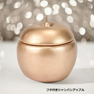 t^tAbv Vp CHAMPAGNE FX002500 t^t Abv VpS[h  apple  AWx[X ʕ ʎ e ꕨ َq Ԋ