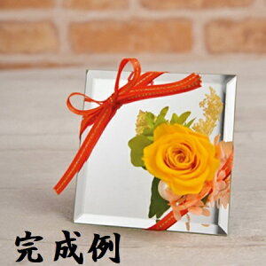 vU[uh t[Go[ Lbg ~[ AW S[fCG[ FLKT10-17 Ȃ̓ zCgf[ Lbg nhCh v[g NAP[Xt o AWTC [t a