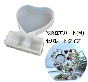 VR[h ʐ^ n[g (M) Zp[g^Cv sm165 NAE v [ A}Xg[ nhCh ł܂n[oE 1000~|bL  W