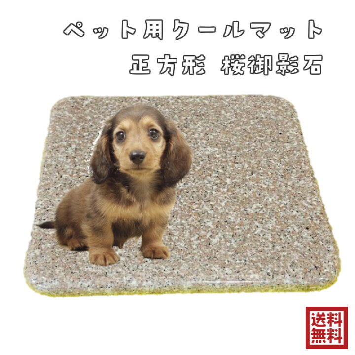 楽天市場 大理石 板 正方形 クールマット ひんやり マット ペット 石製 桜御影石 ピンク 名前彫刻 犬 猫 ワンちゃん ネコちゃん うさぎ 夏 省エネ エコ 水洗いok 送料無料 ストーングッズのlapis ラピス