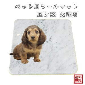 【アウトレット】イタリア産 ビアンコカララ 正方形 ペットマット ペット用マット 猫 犬 ねこ ネコ ペット用 白 ペット マット 石製 大理石 犬 猫 名前彫刻 うさぎ 水洗いOK 送料無料 ペット