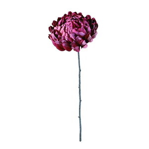 O[[} [u FA-7360 MAV A[eBVt[  lfBXvC~[WA YDM Ѓ|s[ ԍ nhCh CeA