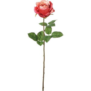 i`[YXv[ [u FA-7389-MAV A[eBVt[  lfBXvC~[WA YDM Ѓ|s[ ԍ nhCh CeA