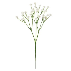 ݑ sbN FM003763 001 zCg MAGIQ  A[eBVt[  |G` 77͂ݑ̓ AWf ԍ  nhCh T}[o^C