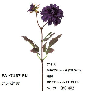 y艿30`50z A[eBVt[ ǂł1{150~  YDM lfBXvC~[WA  ԑ G[fCX eBt@j[[Y }gJA sIj[ \jA[