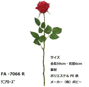 y艿30`50z A[eBVt[ ǂł1{150~  YDM lfBXvC~[WA  ԑ G[fCX eBt@j[[Y }gJA sIj[ \jA[