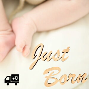 ^[oi[ Just Born Be Ԃ j a ʐ^ V j[{[tHg tHg photo  ؐ  aLO Ǐ WXg{[ j ML Ebhoi[ wood banner K[
