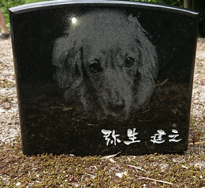 楽天市場 オーダーメイド メッセージ刻印 ペット 墓石 写真彫刻 屋外用 メモリアル ペットのお墓 黒御影石 ペット用 ペット供養 庭 犬用 猫用 庭 省スペース 小さめ ミニ 小 小型 墓 石製 犬 猫 供養 オーダー ネコ 猫 メモリー 愛犬 愛猫 コンパクト
