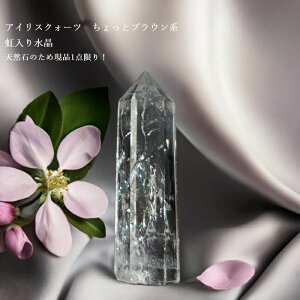 i1_ ACXNH[c ƃuEn |Cg 萅  NbN xocO F VR p[Xg[   uW v[g NX}X a N