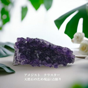  i1_ AWXg NX^[ VR   2 a ̎ p[g[ z   f v[g a