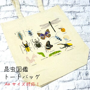  g[gobO 傫 A4TCY  }  킢  Y GR}[N LoXobO LoXg[g ʉ ʊw m[gp\R e Mtg v[g qǂ n  