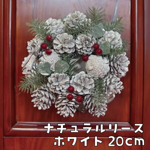 NX}X[X zCg 20cm  k i`[X  O ~  Ǌ| Rt Ђ  X Mtg v[g 킢  Snow wreath christmas