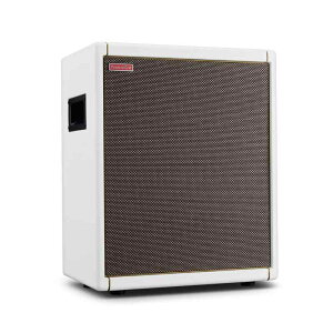 Positive Grid Spark CAB Powered �M�^�[�A���v �X�s�[�J�[ �L���r�l�b�g Spark�V���[�Y�A���v/�����̊y��/���f���[�Ȃǂ�