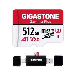 GIGASTONE �}�C�N��sd�J�[�h 512-2-1 Core Group-Redwhite