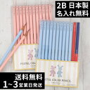 10％OFFクーポン 鉛筆 名入れ パステルカラー鉛筆 2B ブルー ピンク 赤鉛筆 赤青鉛筆 消しゴム ダース 名前入り ネーム入り 無料 えんぴつ 卒園記念 卒園記念品 卒園 卒業 入学祝い 準備 記念品 ギフト プレゼント 男の子 女の子 保育園 幼稚園 小学生 日本製