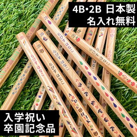 10％OFFクーポン 名入れ 鉛筆 2B 4B ウッディねーむ鉛筆 赤鉛筆 赤青鉛筆 消しゴム ダース 名前入り ネーム入り 無料 えんぴつ 卒園記念 卒園記念品 卒園 卒業 入学祝い 準備 記念品 ギフト プレゼント 男の子 女の子 保育園 幼稚園 小学生 子供 日本製