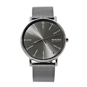 XJ[Q rv Y O[ Vv VOl`[ NI[c SKAGEN SKW6577 sAi