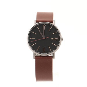 XJ[Q rv Y SIGNATUR ubN `F[Ebh SKW6860 SKAGEN sAi