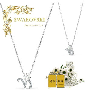 XtXL[ SWAROVSKI XtXL[ Zodiac II y_g € 5563892 Capricorn v[g NX^ Vo[ zCg LO a Ajo[T[  fB[X sAi
