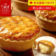 らぽっぽ 窯出しポテトアップルパイ〜premium mini〜 | 冷凍 りんごパイ カスタード パイ 東京駅 可愛い …