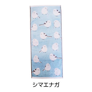 Aj} tFCX ^I 34×80cm 100  Q 킢 ӂӂ  yM j bT[p_ V}GiK