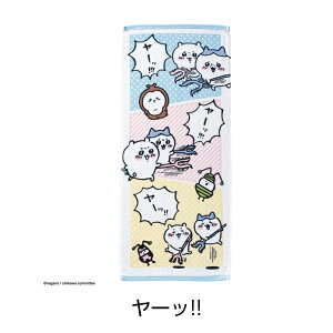  n`  ܂񂶂イ K Z bR V[T[ ꐯ tFCX ^I v[g Mtg w ct w  w j ʉ ʊw q j̎q 