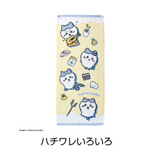  n`  ܂񂶂イ K Z bR V[T[ ꐯ tFCX ^I v[g Mtg w ct w  w j ʉ ʊw q j̎q 