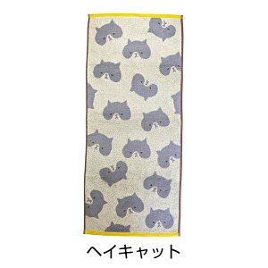 tFCX ^I 34×80cm 100  킢 ӂӂ   ˂ O[