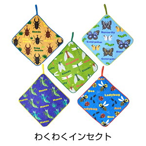 qǂp[v^I5Zbg ۈ牀 j̎q 100 ct ̎q j̎q xr[ Ԃ nJ` w  q LbY j Mtg v[g LD@l[^O