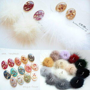 mz[sAX CO AM[Ή sAX hCt[  ~Nt@[ p[  I[o  킢 fB[X H ~ `^sAX obNLb`