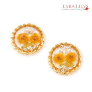 mz[sAX CO sAX hCt[ ~U T[N ┓  킢 fB[X t  AM[Ή `^sAX NbvCO ol