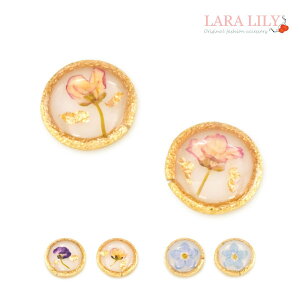 mz[sAX CO sAX AM[Ή hCt[ ܖY AbT T[N   킢 fB[X t  H ~ V[sAX Ԃ amm