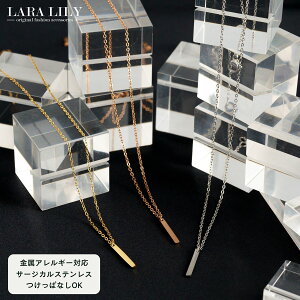 yzbL[N[|z SUS316L T[WJXeX AYL`F[ lbNX o[gbv Vv S[h Vo[ fB[X AM[Ή ςȂ JWA tH