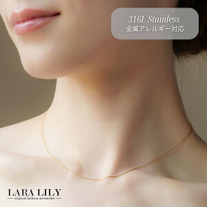 yzbL[N[|z J_m`F[ T[WJXeX 316L lbNX fB[X  Ǝ JWA tH[}ANZT[ WG[  킢 LARA LILY