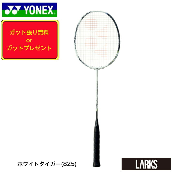 楽天市場】＼LINE追加で5％OFFクーポン／【6/1限定ポイント5倍  
